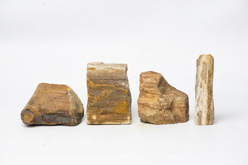 Collection of Petrified Wood Stone Specimens Isolated on White Background Fossilized Tree Trunks for Education Geology and Natural History Concepts