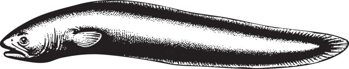 sleek elongated fish swims gracefully through dark water.
