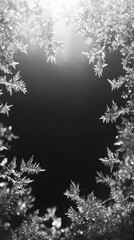 Stunning Black and White Frost Crystal Frame