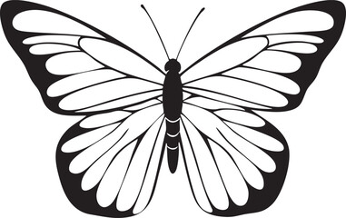 Fototapeta premium striking black and white butterfly displays intricate wing .