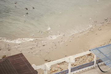Beach landscapes in summer. Ballenita Beach in the province of Santa Elena, Ecuador. You can see the sea, birds, and beach or sailing motifs.