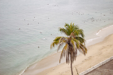 Beach landscapes in summer. Ballenita Beach in the province of Santa Elena, Ecuador. You can see the sea, birds, and beach or sailing motifs.