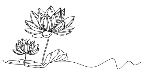 Elegant Lotus Line Art, A refined line drawing of two lotus flowers, showcasing their natural elegance