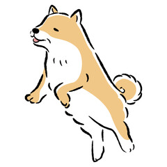 ジャンプするシニア犬の手描きイラスト