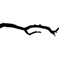 Halloween Branch Silhouette