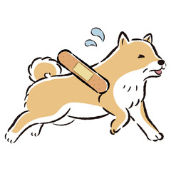 怪我をして困った表情のシニア犬のイラスト