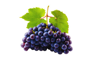 Fototapeta premium Fresh bunch of dark purple grapes with lush green leaves isolated transparent background
