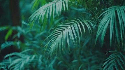 Lush Green Tropical Palm Leaves Background