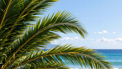 Lush palm fronds sway gently against bright blue sky, framing serene ocean view. vibrant green leaves contrast beautifully with tranquil sea, evoking sense of relaxation and tropical paradise
