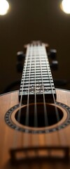 Fototapeta premium close up of a guitar neck and strings