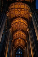 Fototapeta premium Intricate ceiling details are dramatically lit at night, casting intriguing shadows and highlighting architectural artistry The image evokes a sense of mystery and elegance , room, silver, dark