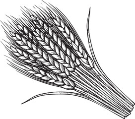 dense bundle of wheat stalks extends gracefully upwards.