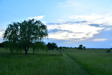 Obraz premium Sunset Over a Path in a Farm Field
