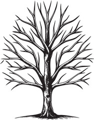 Obraz premium stark solitary tree stands against a white background.