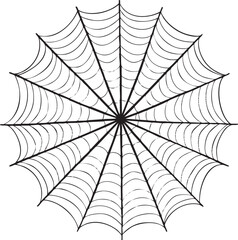 Obraz premium detailed black and white spiderweb radiates outward from a central point.