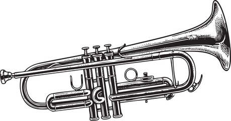 detailed black and white of a brass trumpet.