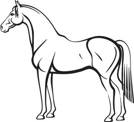 Obraz premium black and white outline drawing of a standing horse.