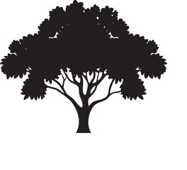 large solitary tree stands silhouetted against a bright white background.