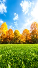 Vibrant autumn foliage of gold and yellow trees against a bright blue sky, viewed from a low perspective over a lush green lawn
