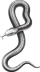 Obraz premium dark serpent curls gracefully around a smooth curved surface.