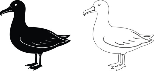 Black and white illustration of a seagull in two different styles