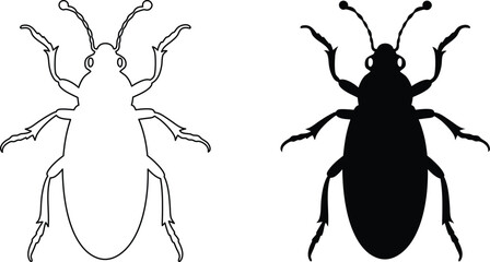 Beetle Silhouette and Outline Illustration on White Background