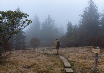 Man in Yellow Raincoat Hiking Misty Morning Trail in Smoky Mountain National Park