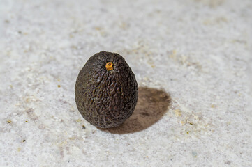 A close-up of a ripe Hass avocado resting on a white marble countertop. The avocado’s dark, textured skin contrasts beautifully against the bright, smooth surface
