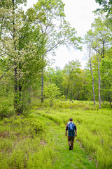 Man Walking in Lush Forest Field with Baby in Backpack