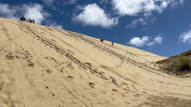 Tourists sand boarding down large sand dunes in Northland New Zealand. Giant Sand Dunes, are a collection of sand dunes located on the Northland Peninsula of New Zealand. 