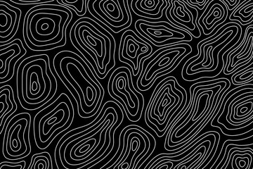 topographic map, curved lines, white lines background, black background, abstract lines, geographical contour map, vector illustration, template background vector