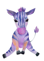 Watercolor jungle zebra safari animal baby illustration.