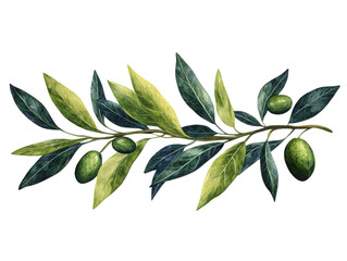 A painting of olive leaves with three olives on it