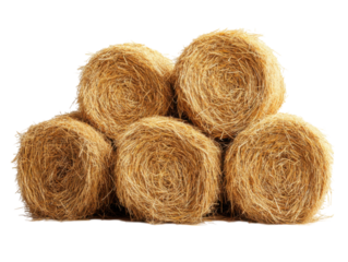 A pile of hay is stacked on top of each other