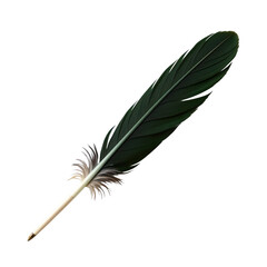 Obraz premium Elegant Green Feather Isolated on a White Background for Artistic and Natural Inspired Projects