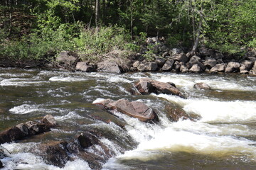 River in the forest. Summer calendar and rapids in the nature with trees. Driking water of a city....