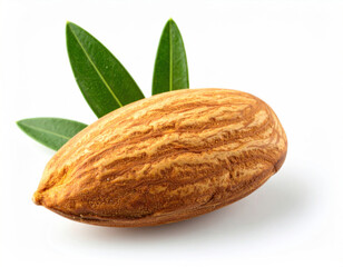 Fresh Almond With Natural Green Leaves