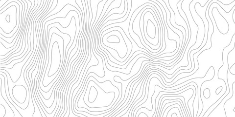 White wave paper curved reliefs abstract background, Abstract topographic contours map background, Topography map background. Vector geographic contour map.