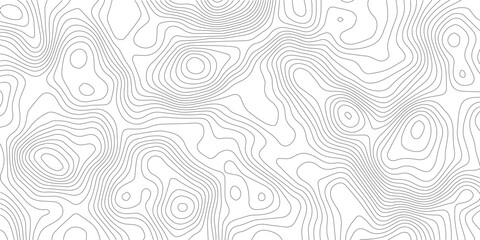 White wave paper curved reliefs abstract background, Abstract topographic contours map background, Topography map background. Vector geographic contour map.