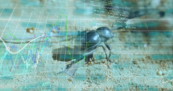 Beetle crawling across sand showing faint overlay analyzing progress with rising percentage charts