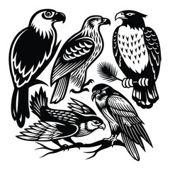 Majestic eagle, falcon, bird, and hawk silhouette in flight with outstretched wings—symbol of power, freedom, and grace in bold, striking animal form.
