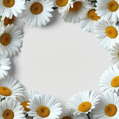 Fototapeta premium Elegant Daisy Frame with Copy Space, Perfect for Springtime Greetings and Floral Designs