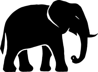 Fototapeta premium silhouette of elephant