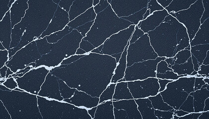Polished black marble stone texture with granite details on the surface.