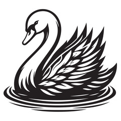 Swan on water vector illustration