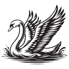 Fototapeta premium swan on water vector illustration