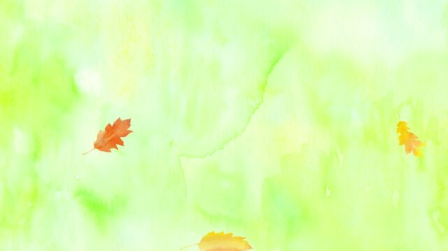 緑色のさわやかな水彩画を背景に色づいたオークの葉がひらひらと落ちる風景。秋のループアニメーション。