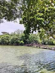 beautiful view of the lake