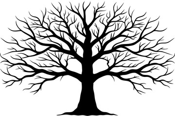 Fototapeta premium Silhouette of a large tree with branches in a black and white illustration