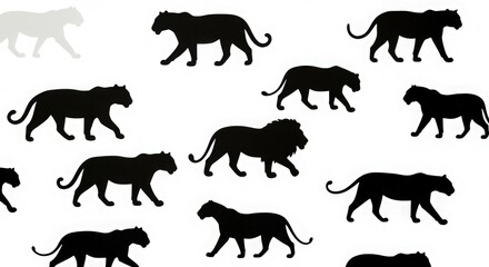 Wild panther silhouettes walking in various poses isolated on white background vector set